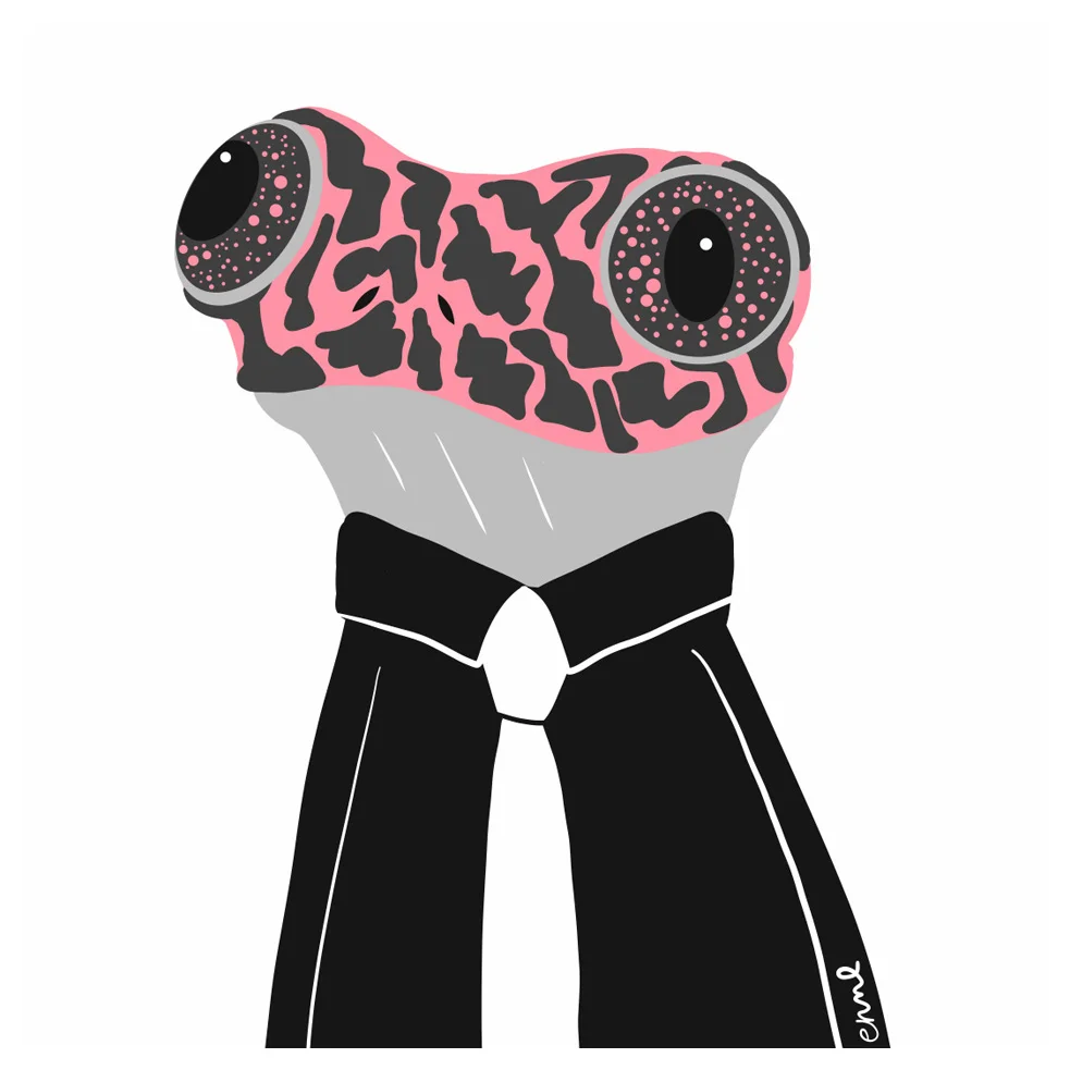 Table Mountain Ghost Frog (Real and Endangered Series, 2018))
