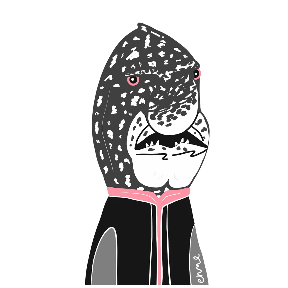 Black musselcracker (Real and Endangered Series, 2018)