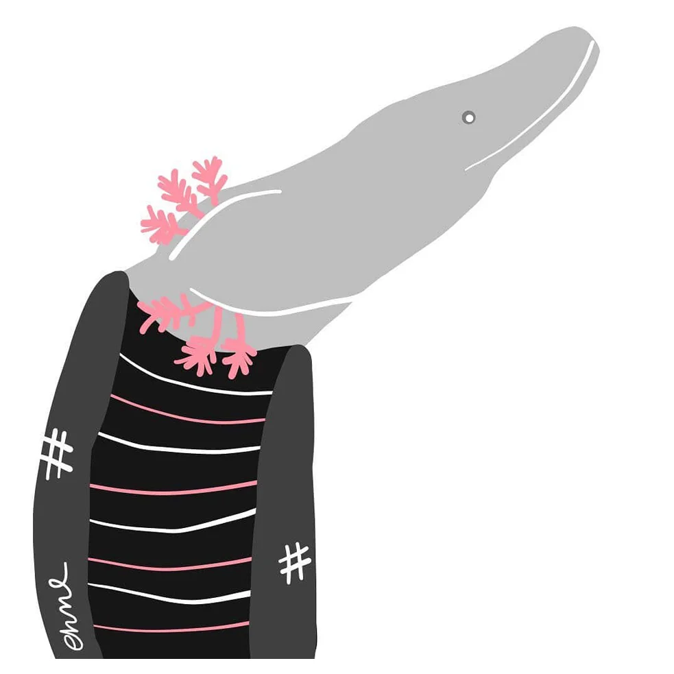 Olm (Real and Endangered Series, 2018)
