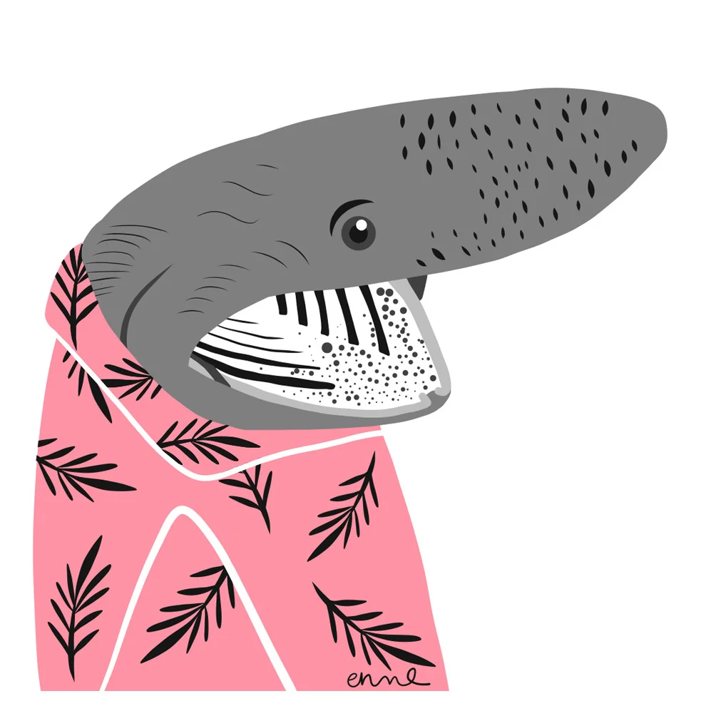 Basking Shark (Real and Endangered Series, 2018)