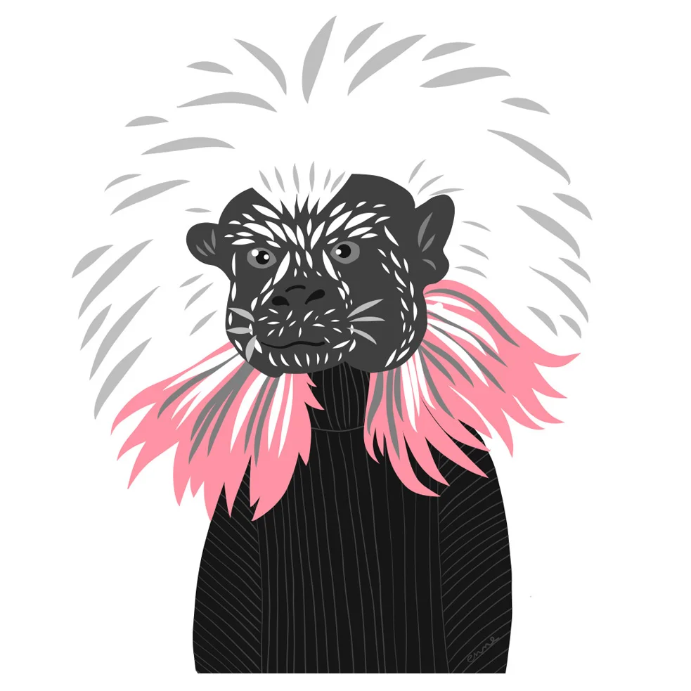 Cotton-headed tamarin (Real and Endangered Series, 2018)