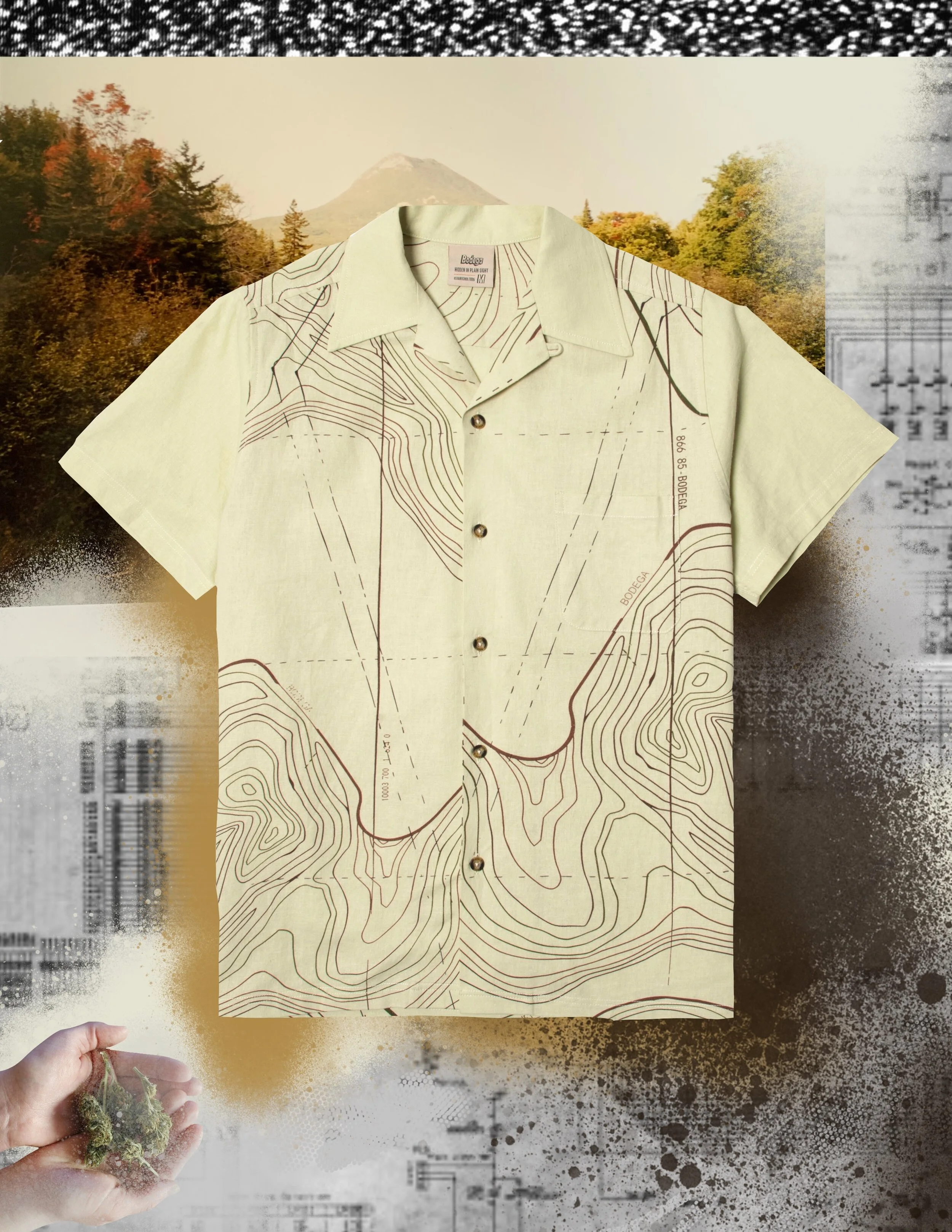 Untitled_Artwork 13.JPG