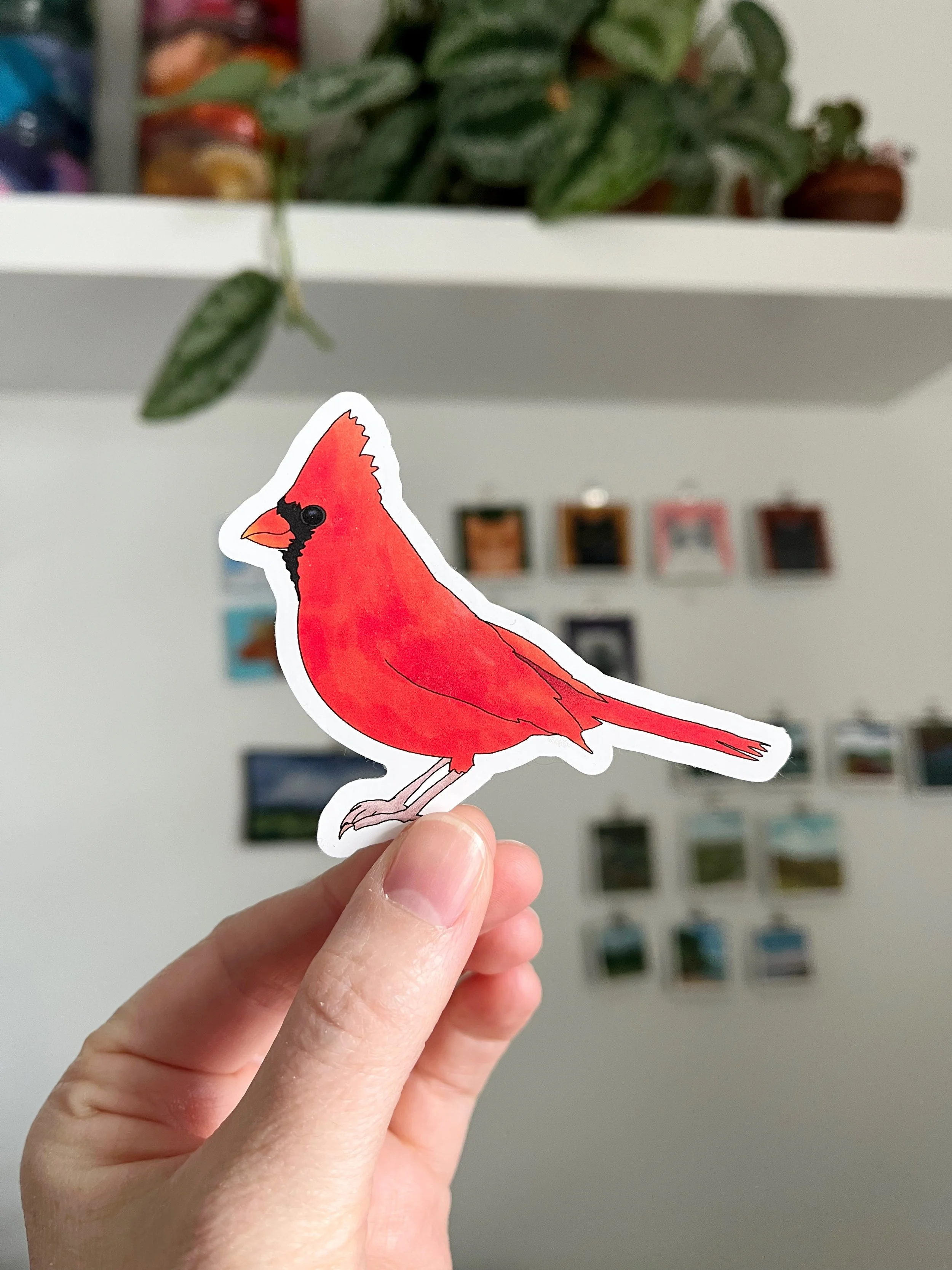 Cardinal Sticker