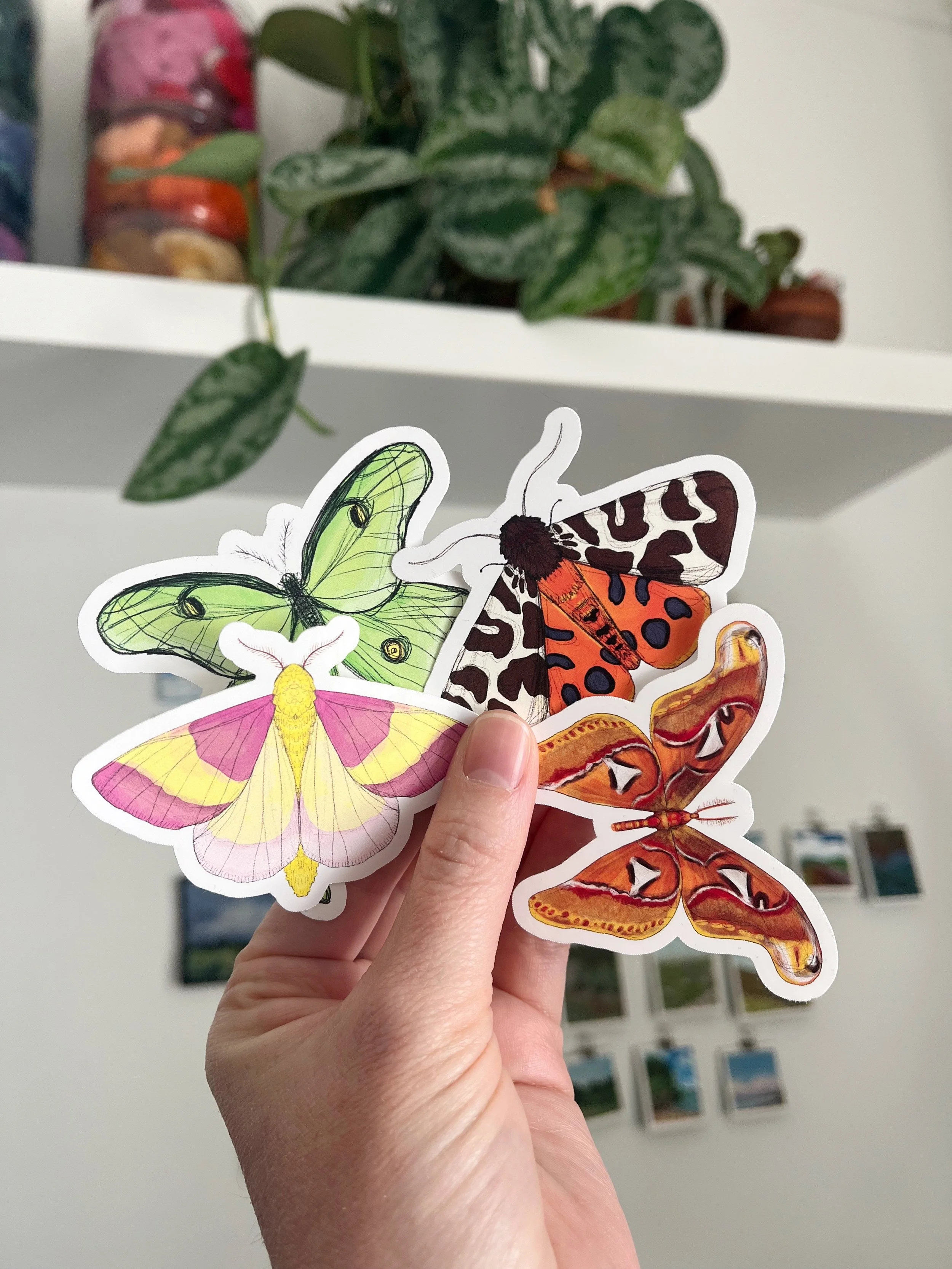 Moth Sticker Bundle