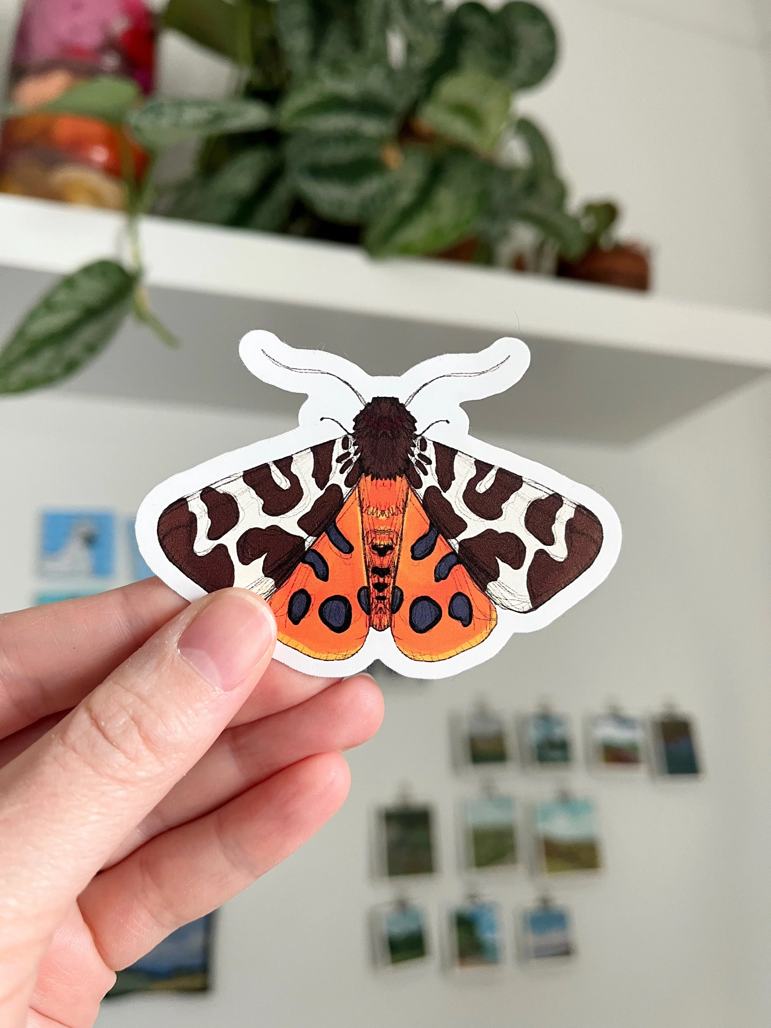 Garden Tiger Moth Sticker