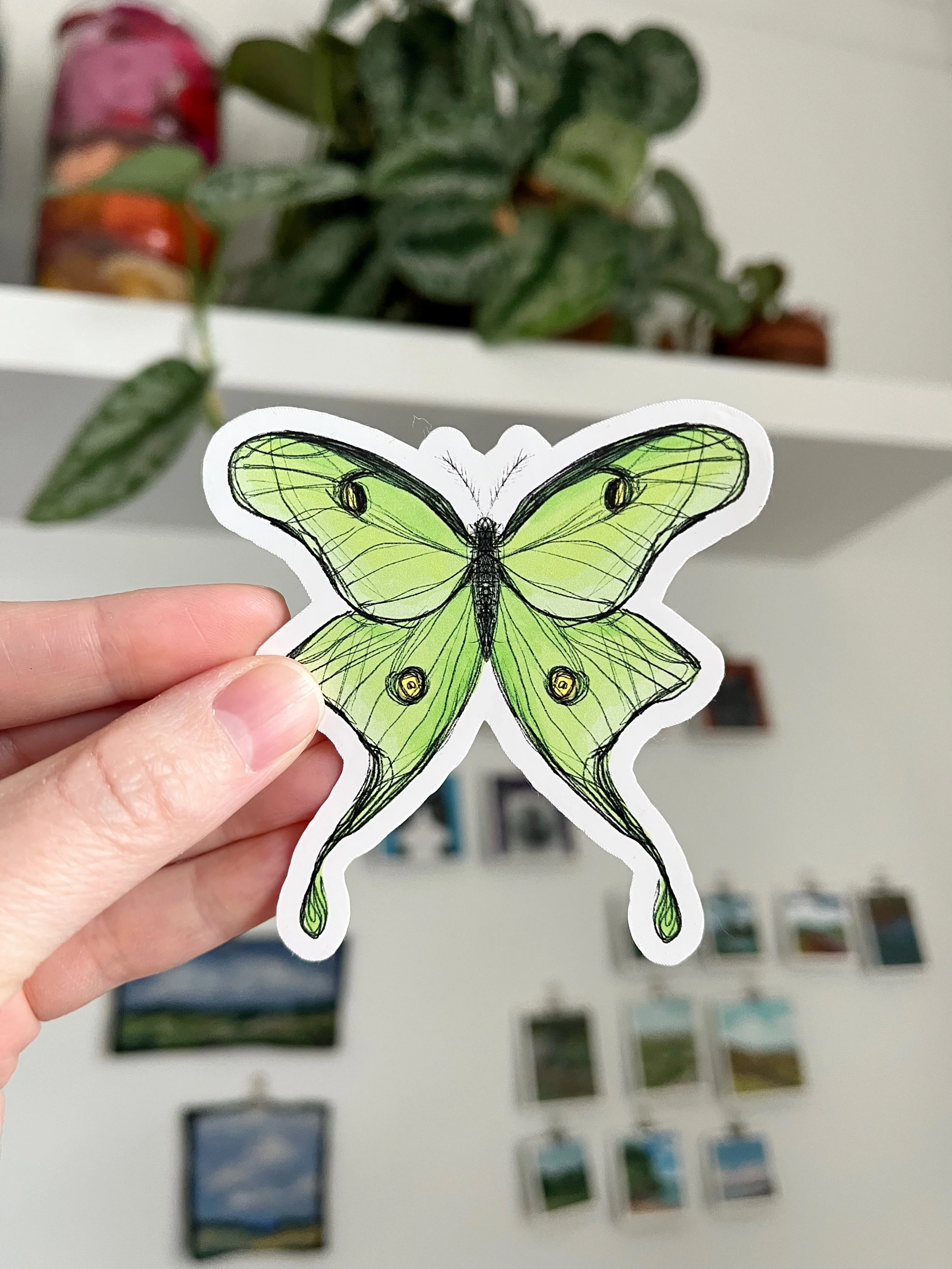 Luna Moth Sticker