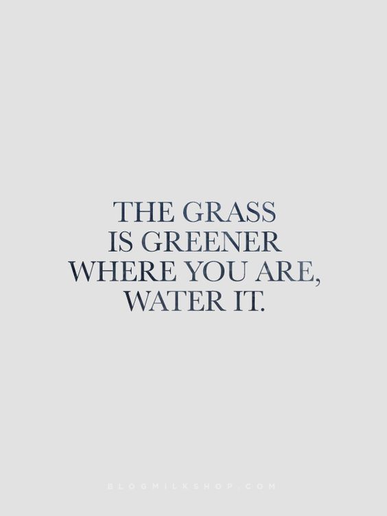 Quote