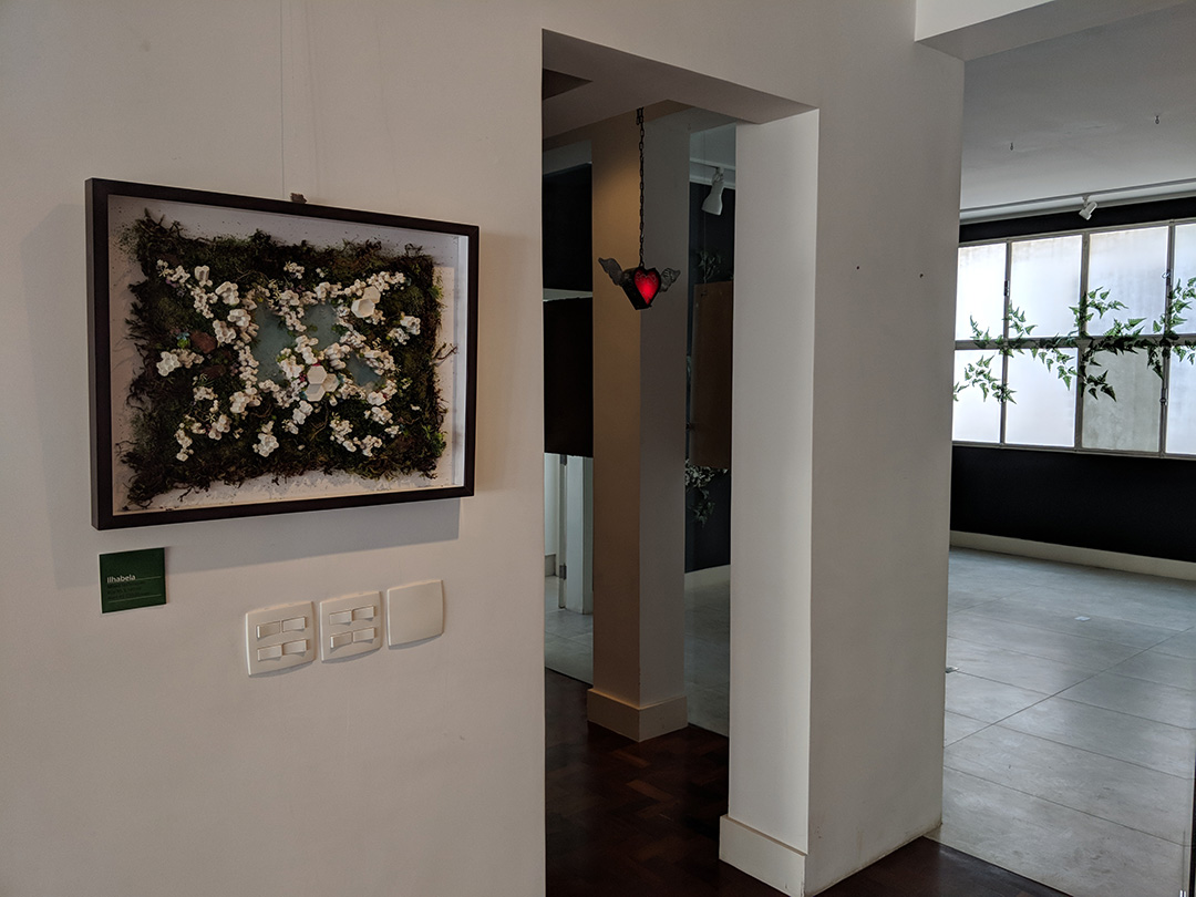 MVIMG_20180309_153441.jpg