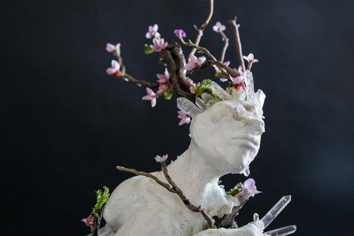 Biophilia