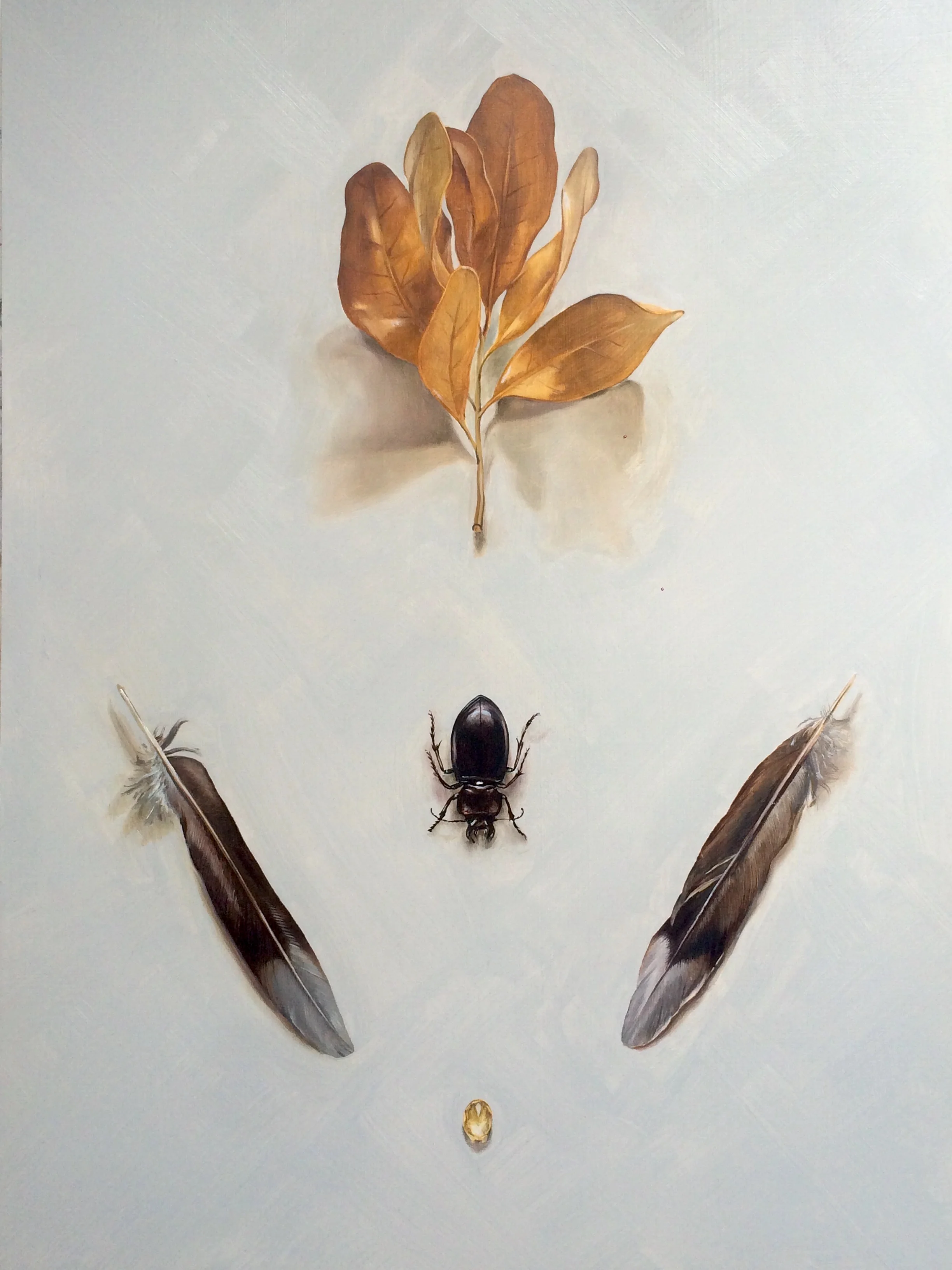 Beetle and Leaves