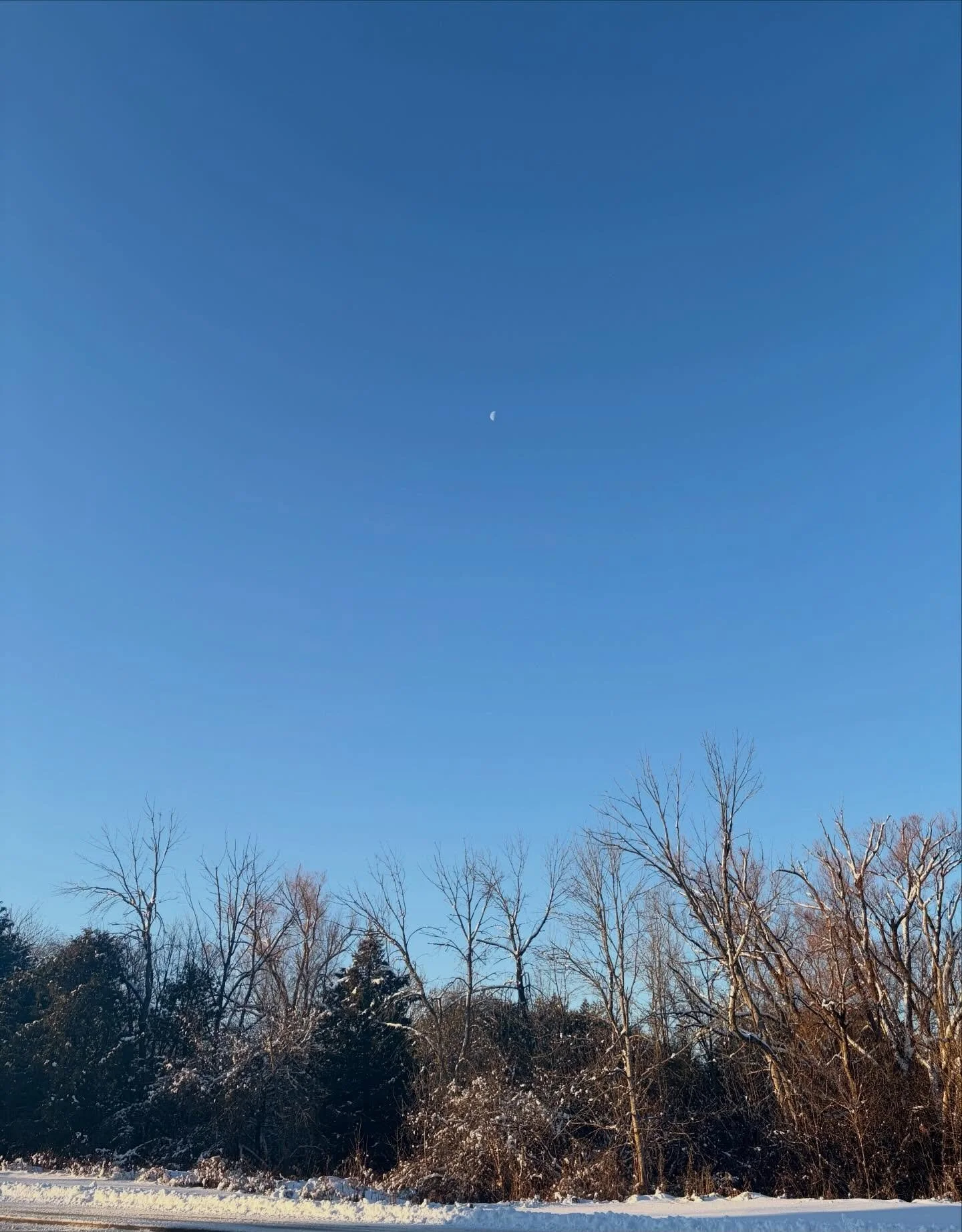 La Luna 🌙💫🤍❄️