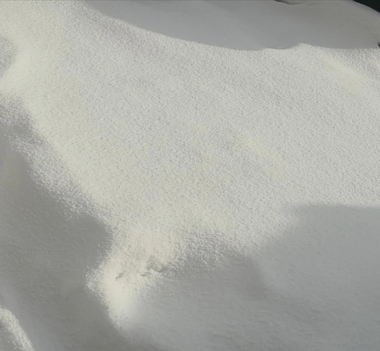 Softening into the moment is a practice.

Practice noticing softness in nature, in the sky, in the moment in front of you, until you embody that same softness you&rsquo;re experiencing right now.

In the fresh snow, the sunshine, the trees, the entir