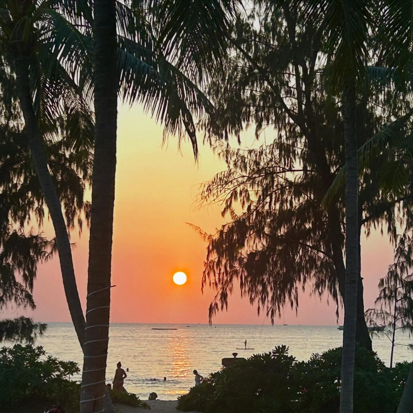 Pure love energy from the sun 🧡☀️ Vietnam Eve