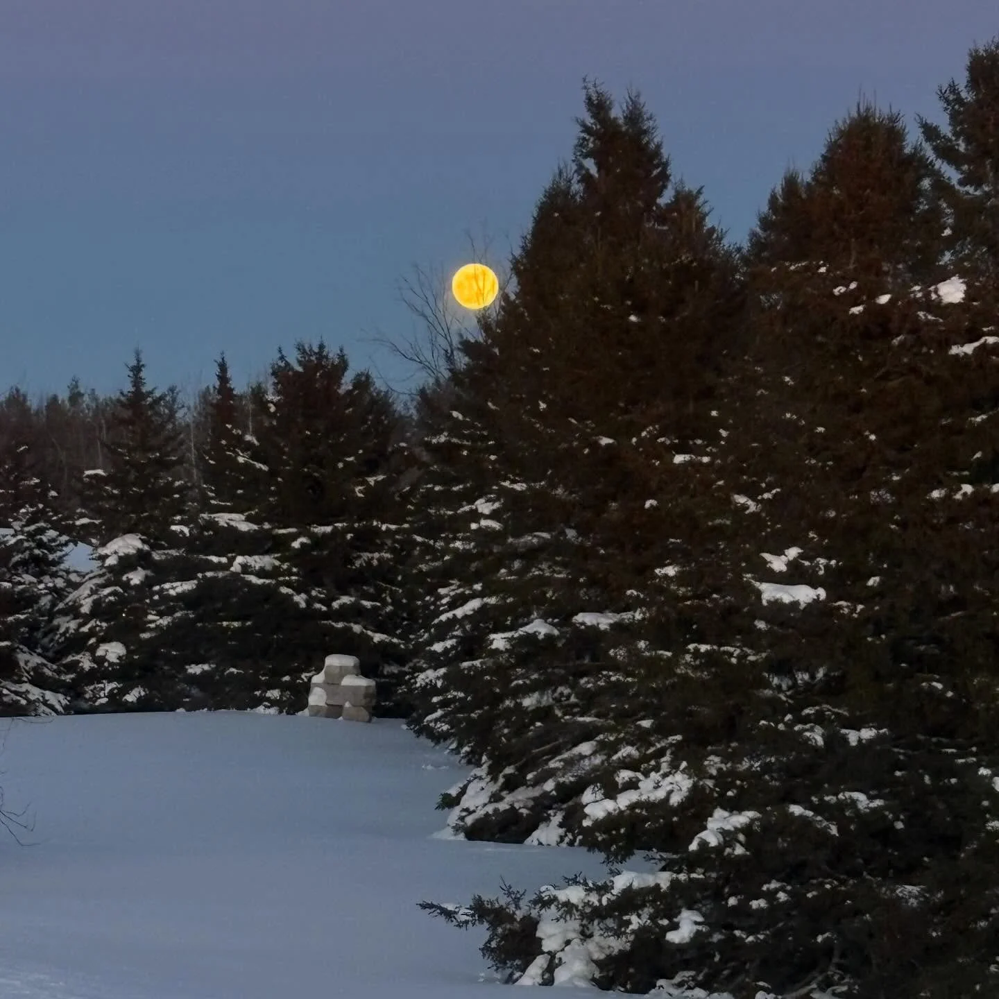 A moment of peace in the full moonlight tonight 🙏🏼✨💖
