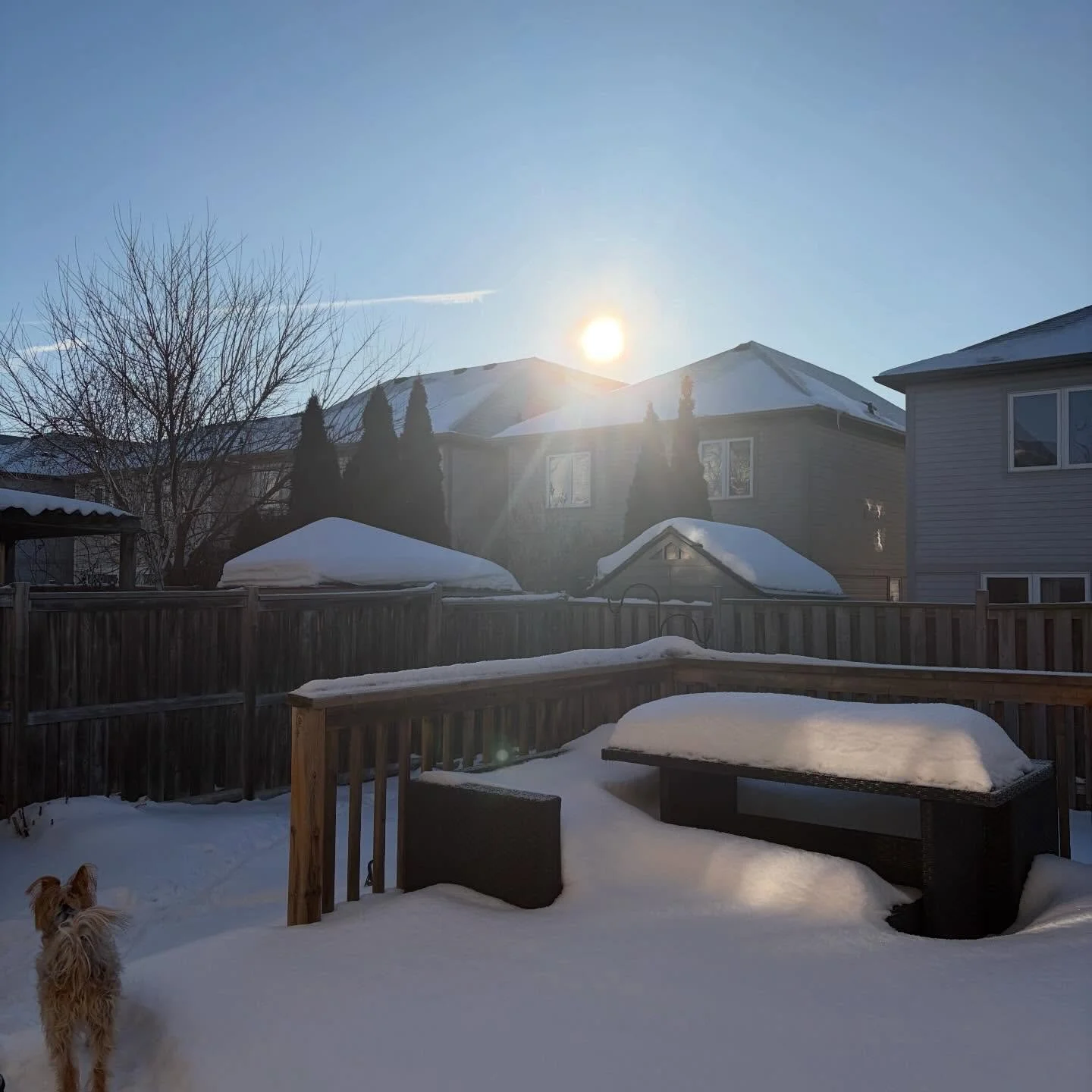 Setting up shop to work outside today in this beautiful sunshine&hellip; in a full snowsuit 🤩

#outdoorliving