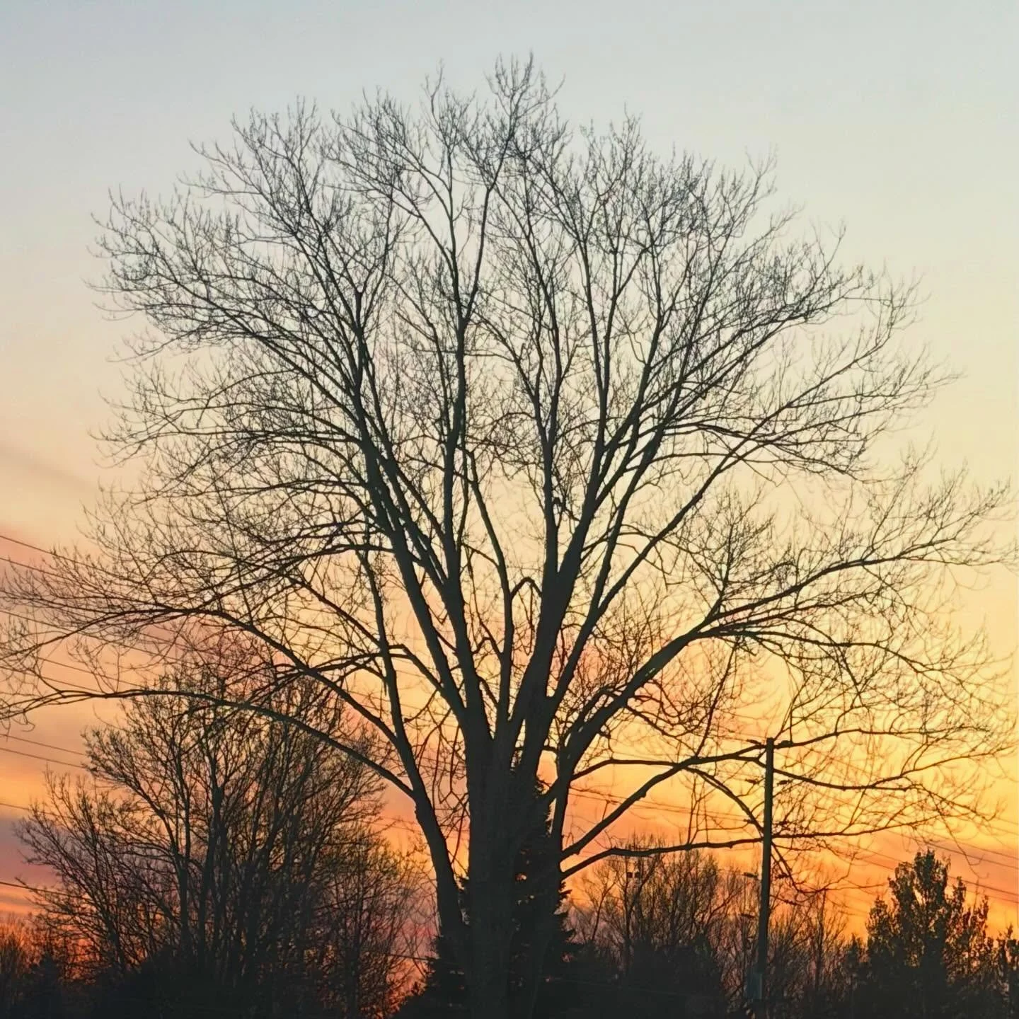 Look up, look within&hellip; just try not to look at what they&rsquo;re trying to get you to look at too often 🧡✌🏼🌲