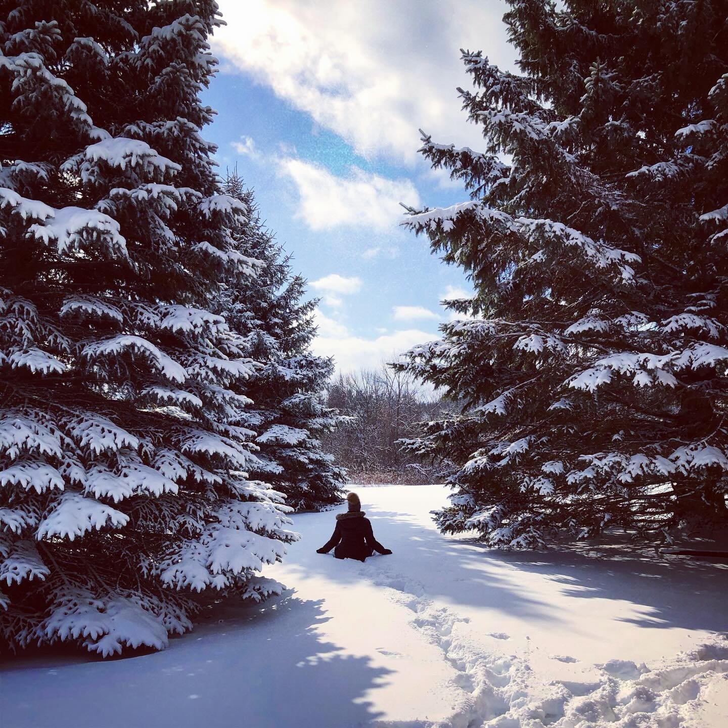 Feel the peace-love-joy where you are 🙏🏼💖🌲

#beherenow #presence #acceptwhatis #acceptance #ilovetrees