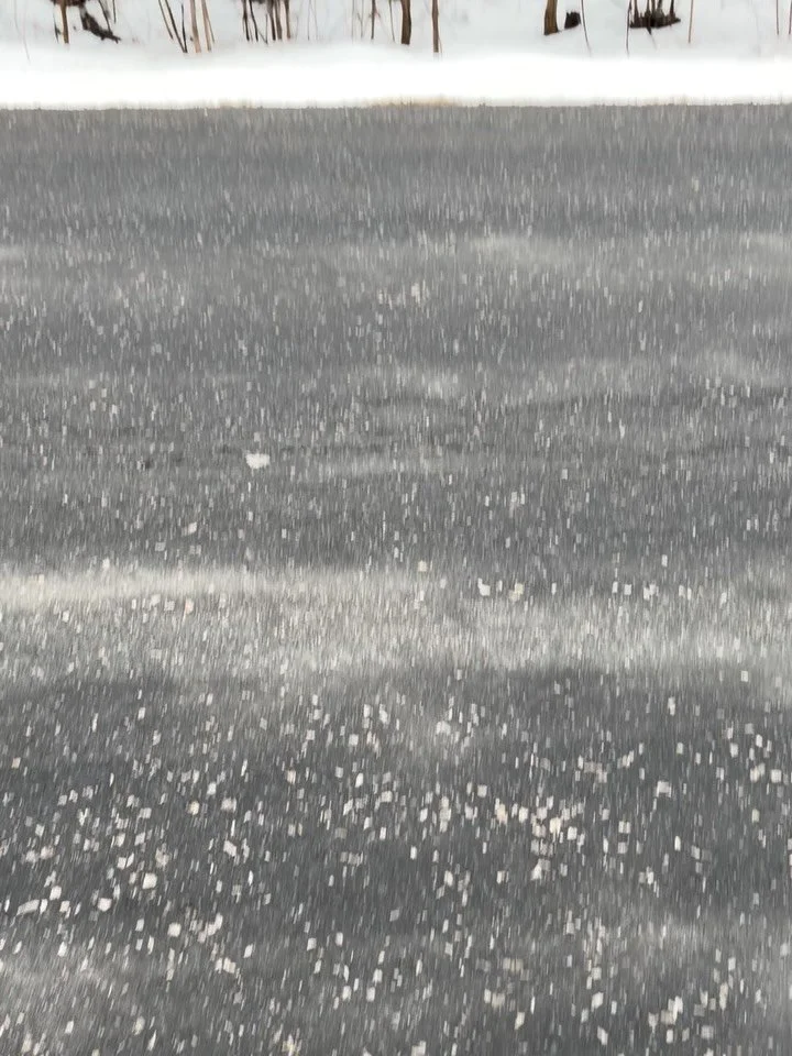 Spent my birthday morning with the birds 😻🌲🪶🐦&zwj;⬛ an orchestra of cardinals ❤️

Birdsong cleans the energy field, calms the nervous system and centers the awareness.