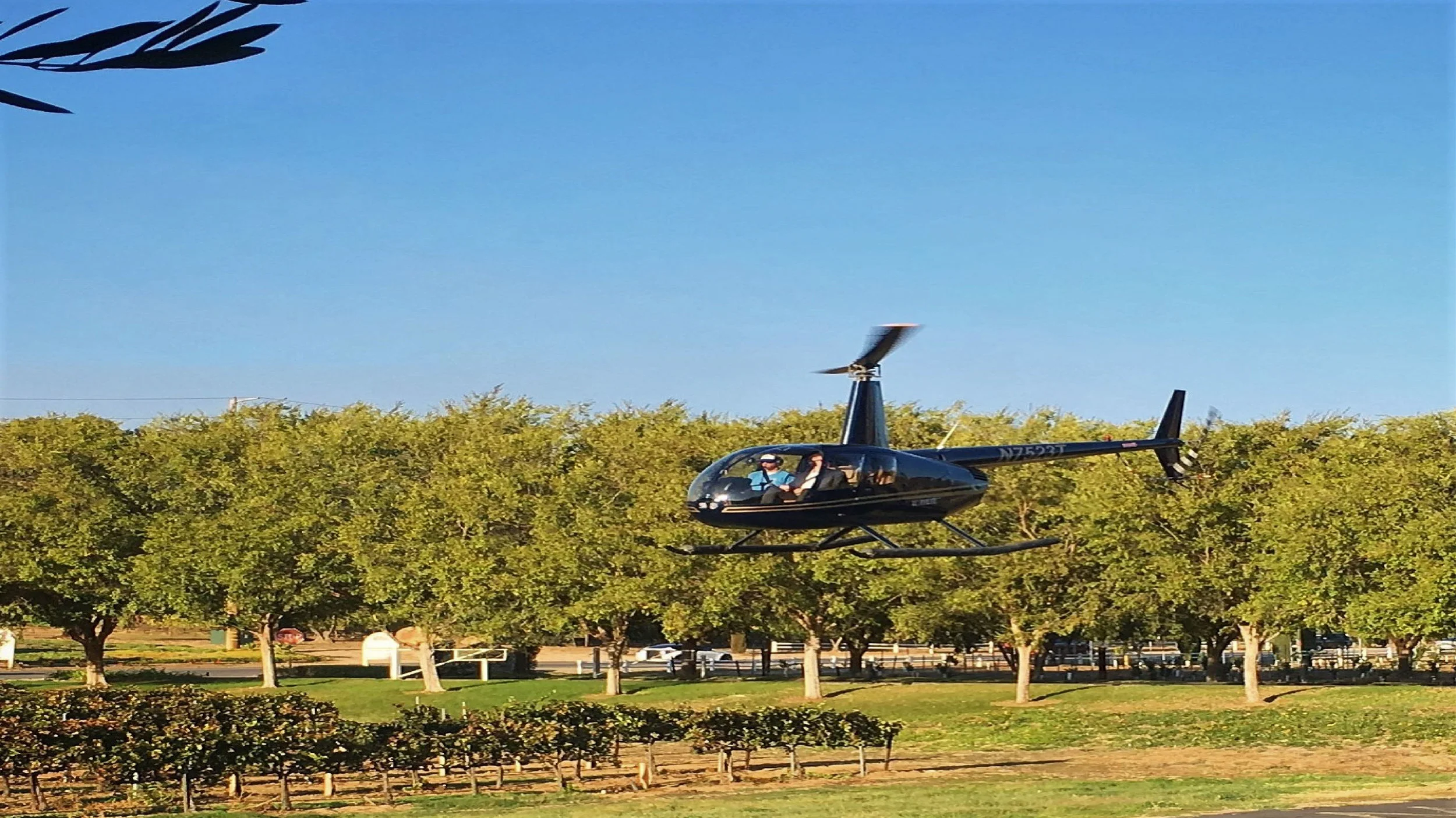 winery landing.jpg