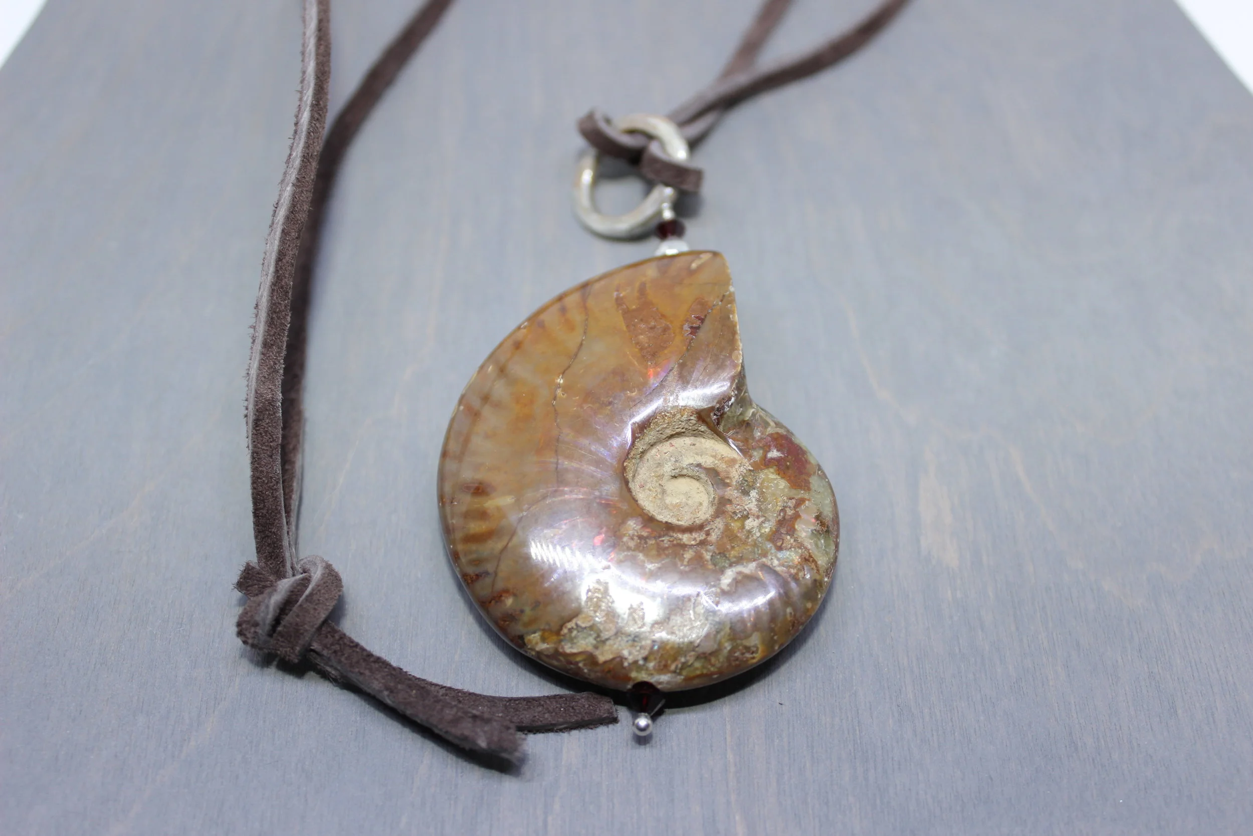 ammonite4.jpg