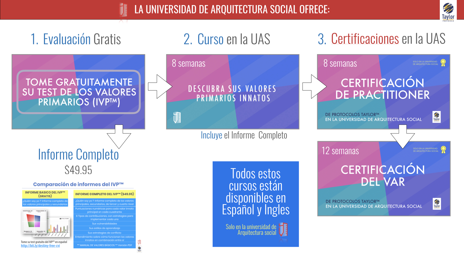 ES 181211 MST 1.0 ES COURSE AND WEB ANUNCIOS KJ CVI VAR 2.001.jpeg