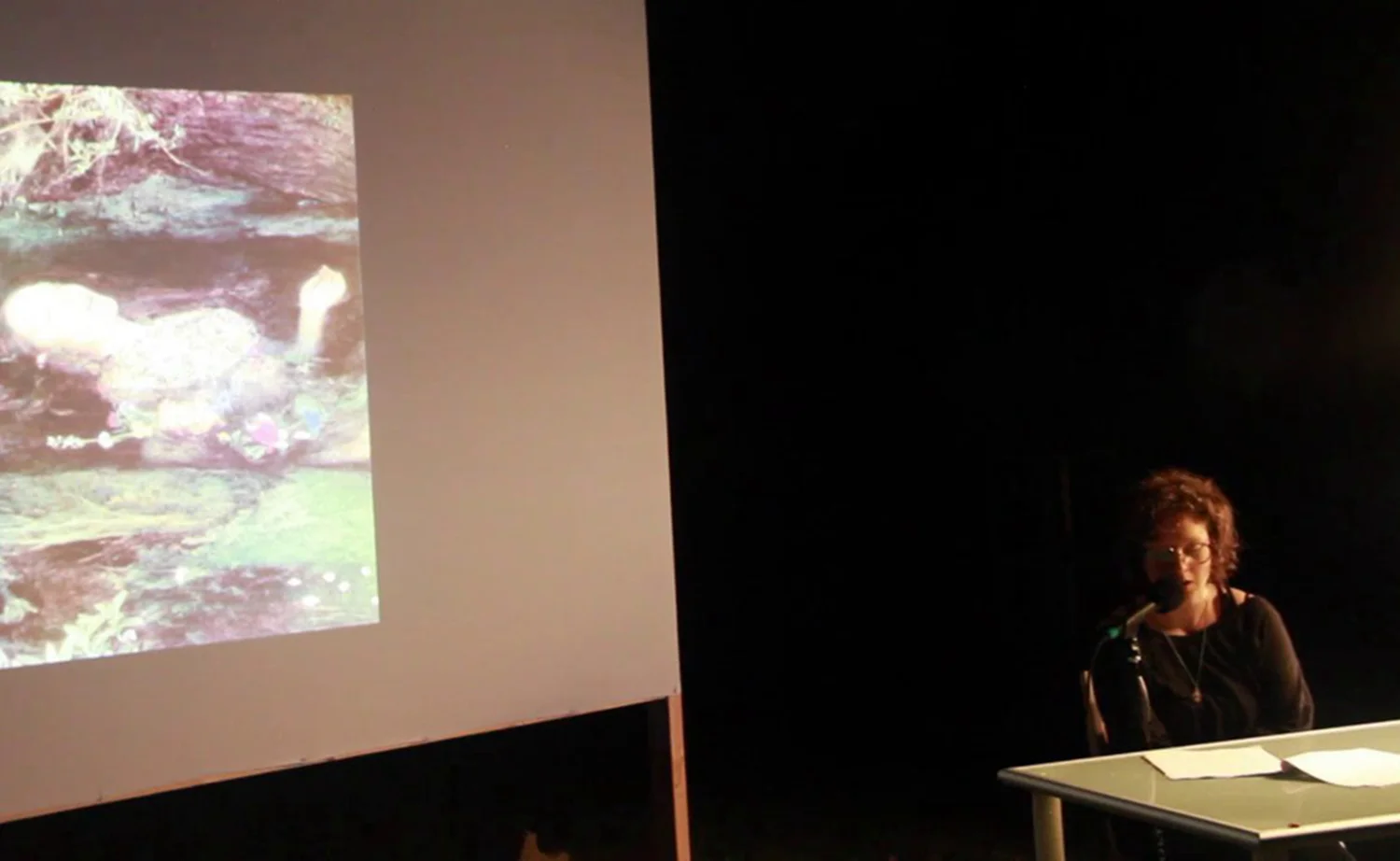 Center for Experimental Lectures