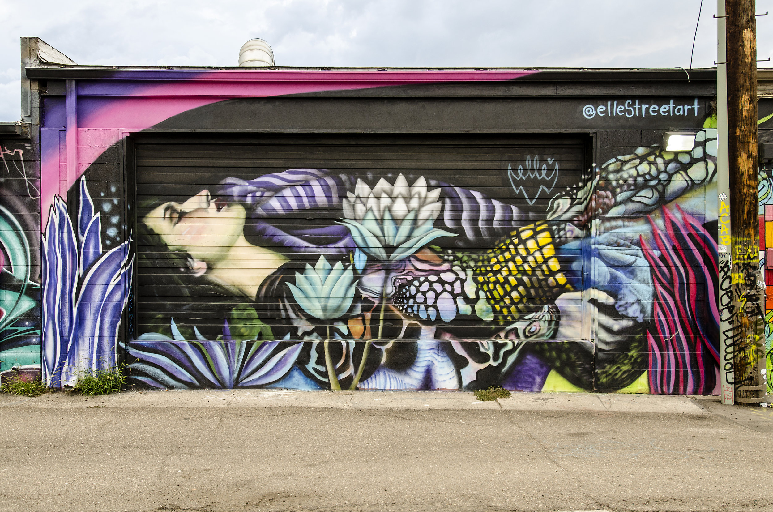 Artist ELLE will be returning to The Crush 2016 to paint.