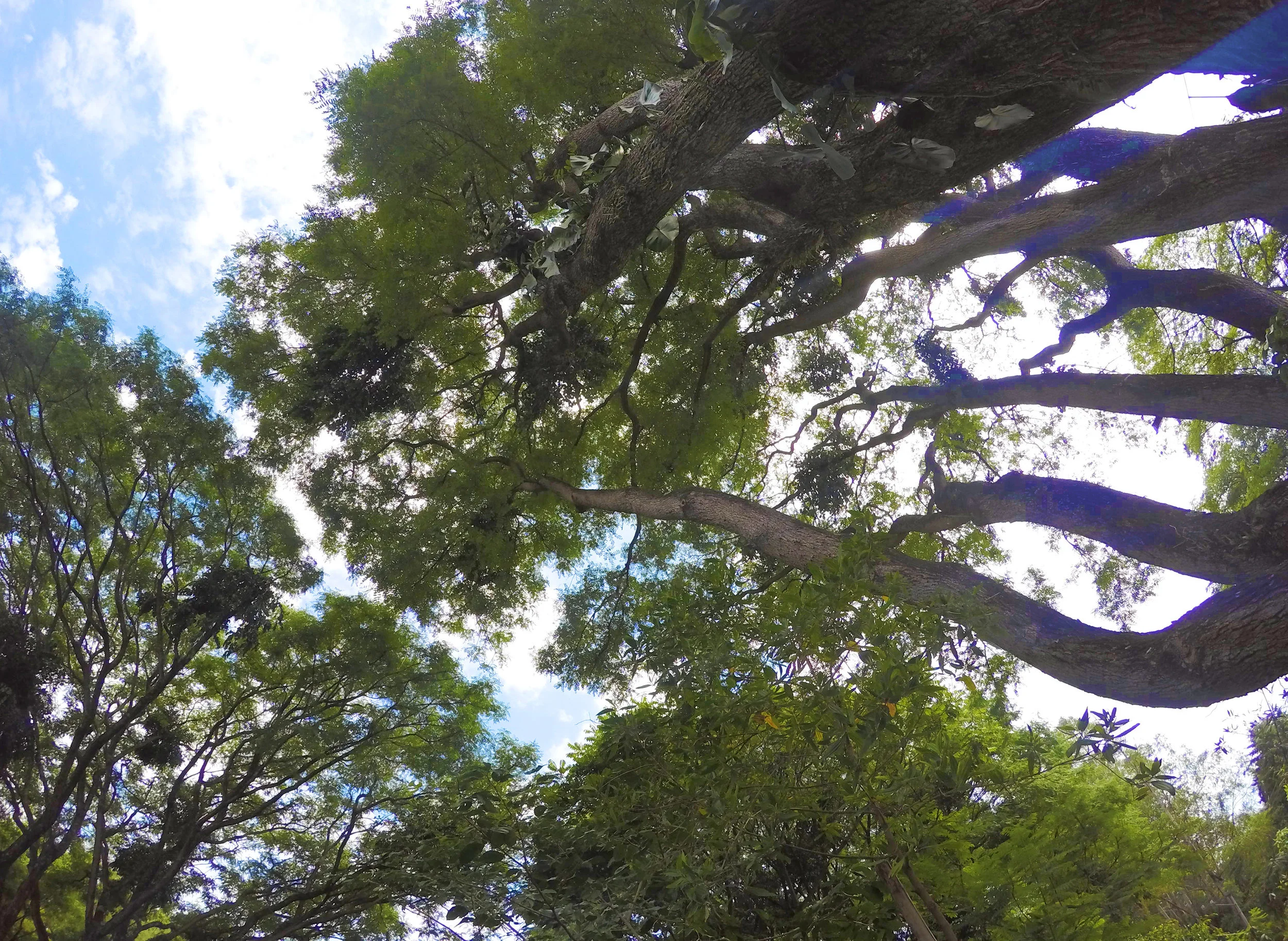 DCIM\100GOPRO\G0295796.
