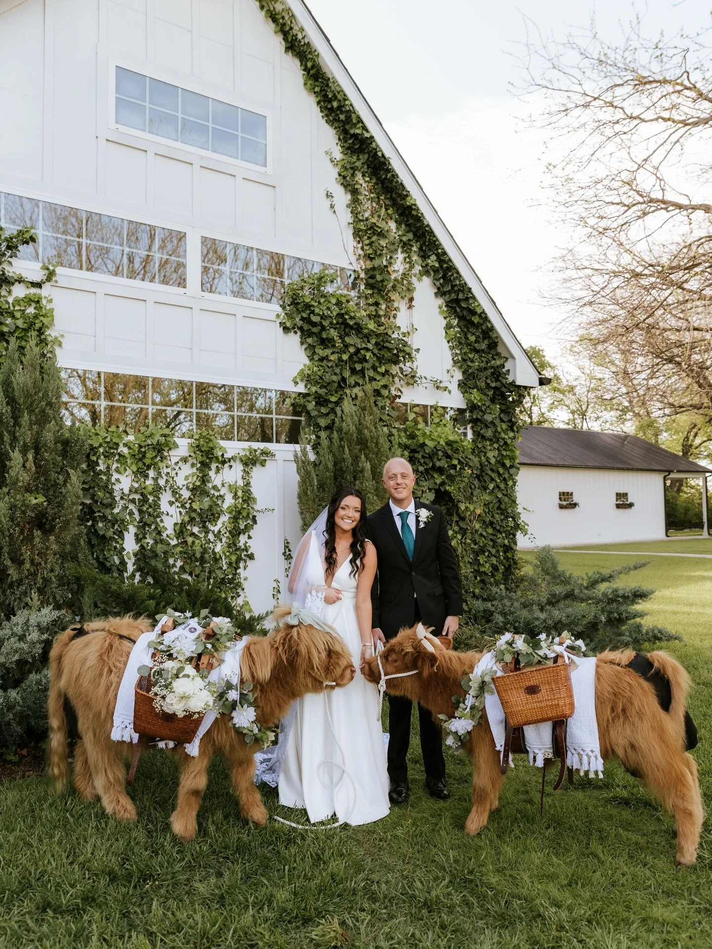 Cocktail hour, but make it unforgettable 🥂🐂 

Photography @ivoryoaksphoto 
Planner @emeraldandivyweddings
Hair &amp; Makeup @roseandsagehairandmakeup
Florist @hautepoppiesfloral
Videography @austindanielfilms
Catering @fivestareventservices
Staffin