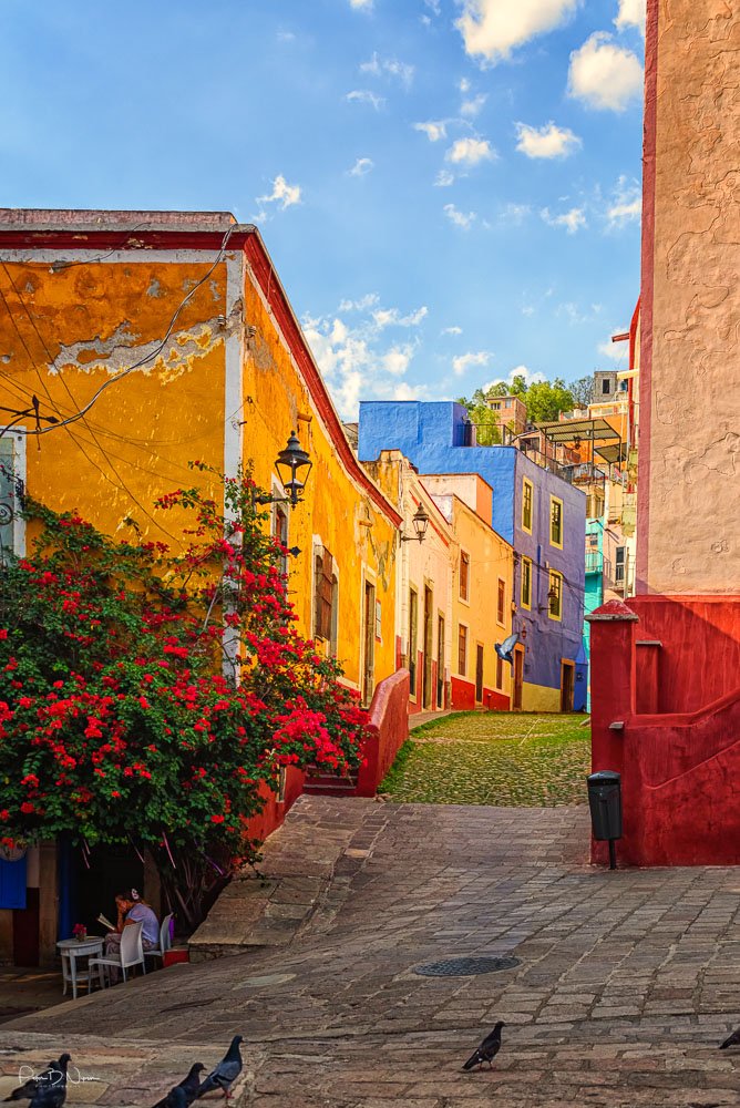 Colonial_Mexico_Gallery-20.jpg
