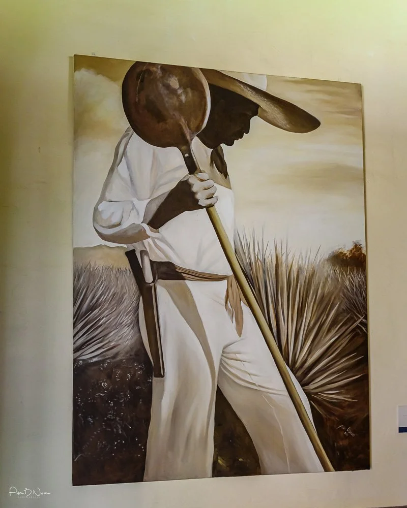 Colonial_Mexico_Gallery-30.jpg