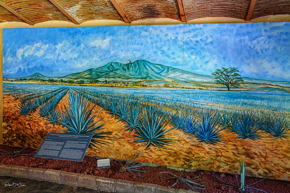 Colonial_Mexico_Gallery-31.jpg