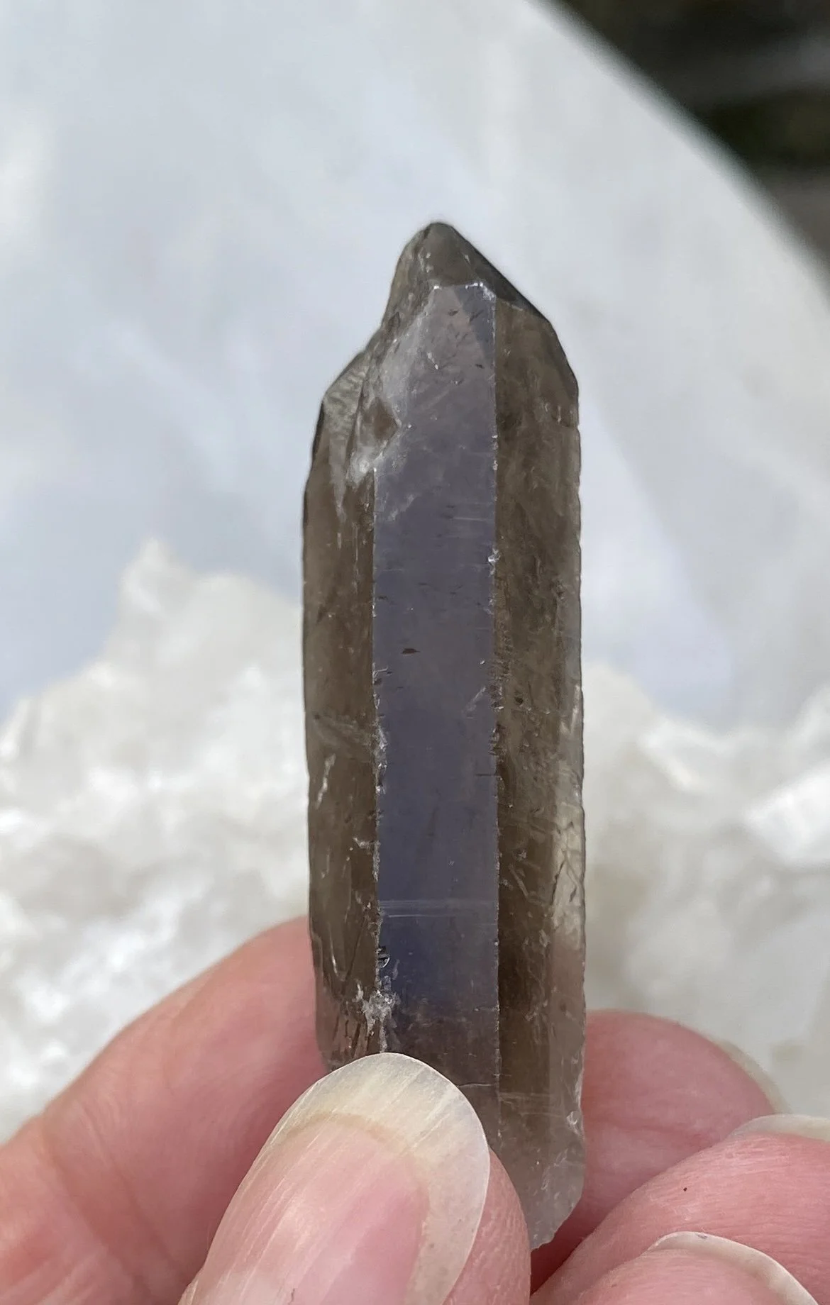 Old Smoky Seventeen3.JPG