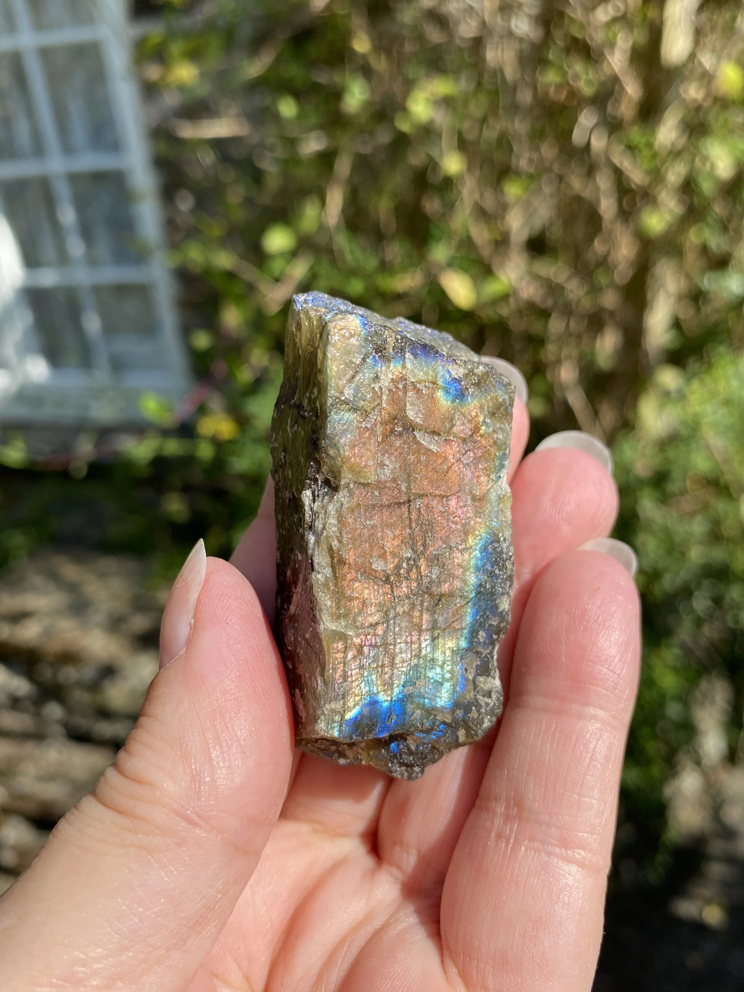 Labradorite 22.JPG