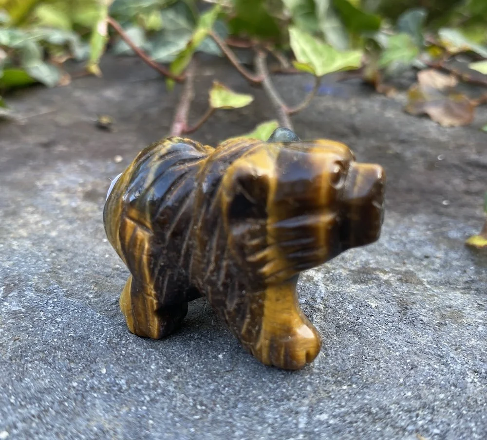 ZZ Tigers Eye Bear 22.JPG