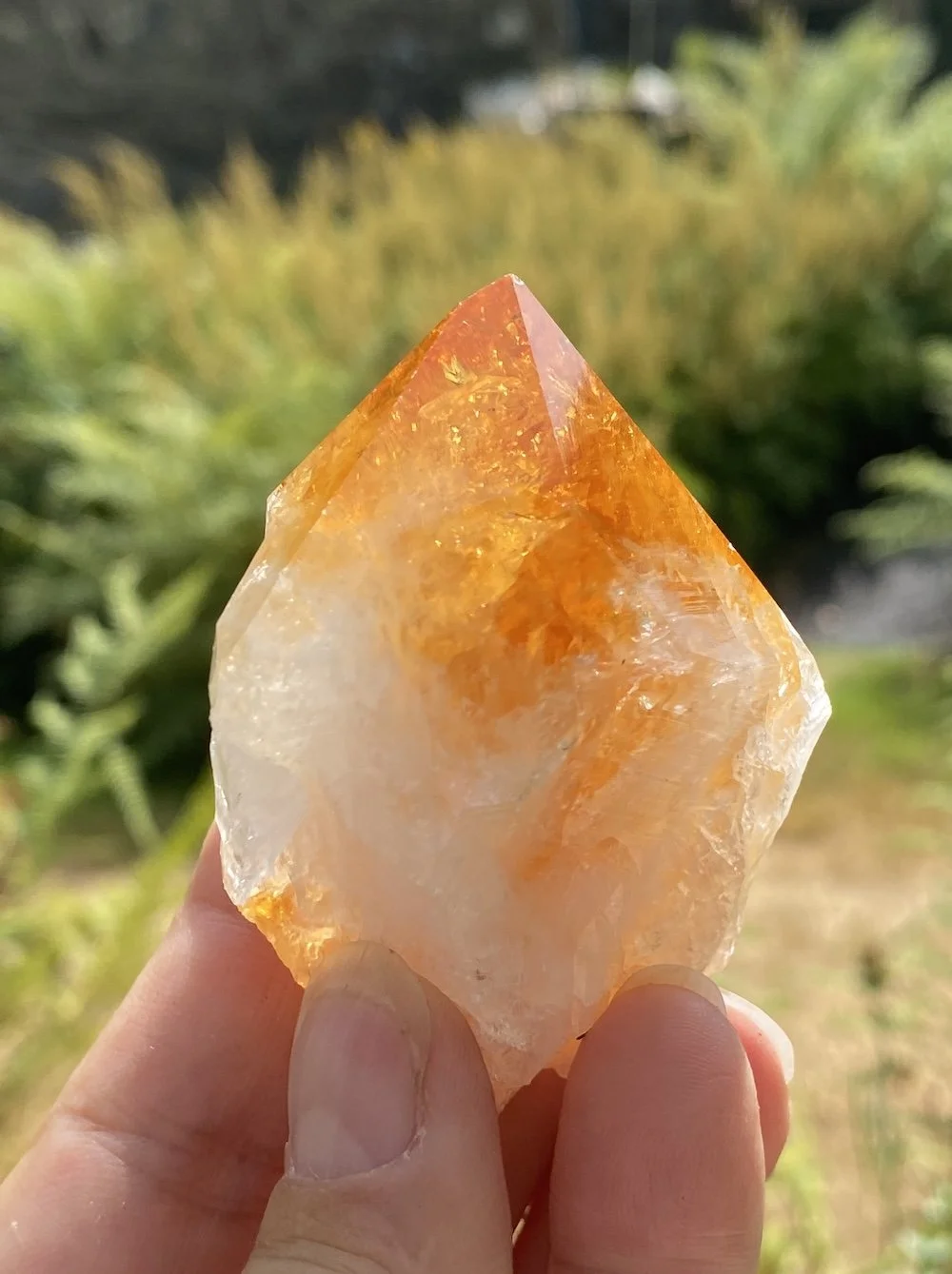 Citrine points27.JPG
