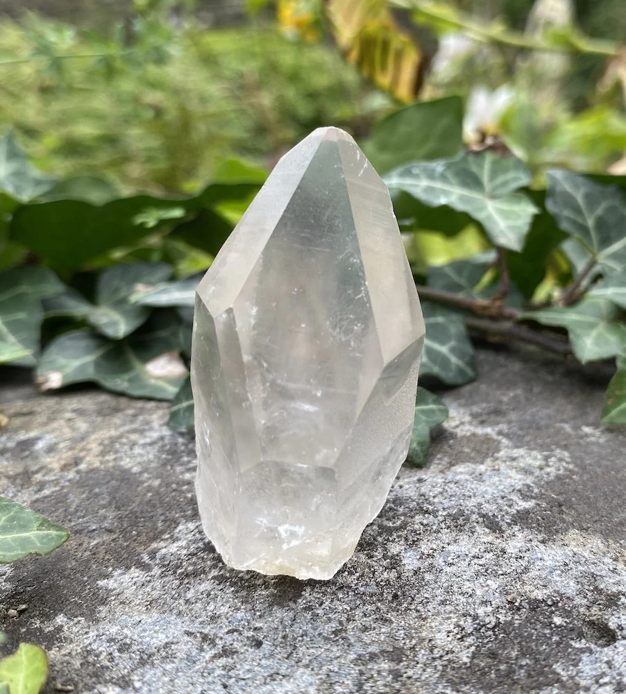 Lemurian £152.JPG