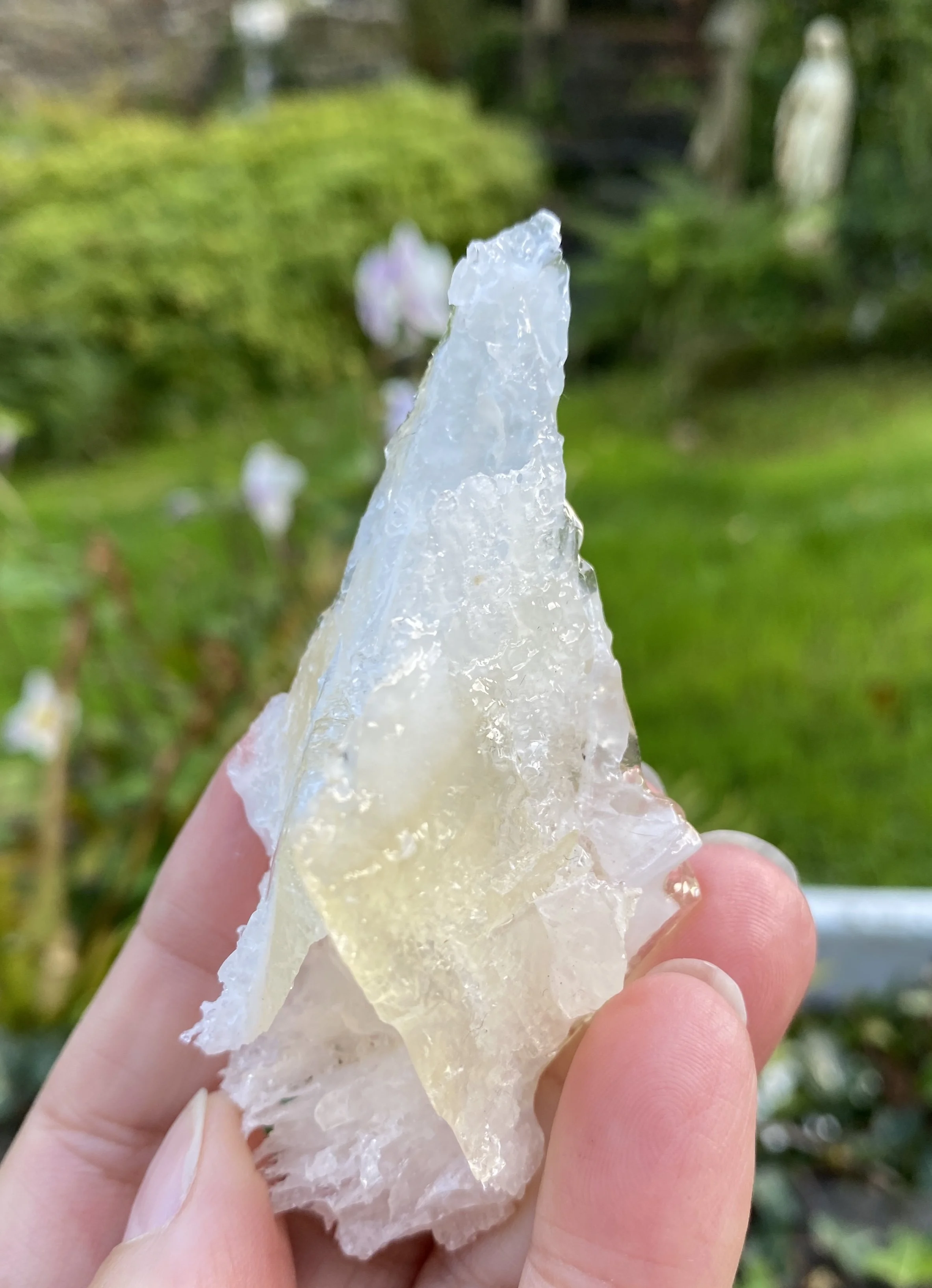 ZZ Angel Wing Calcite4.JPG