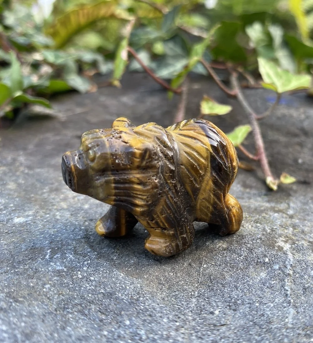 ZZ Tigers Eye Bear1.JPG