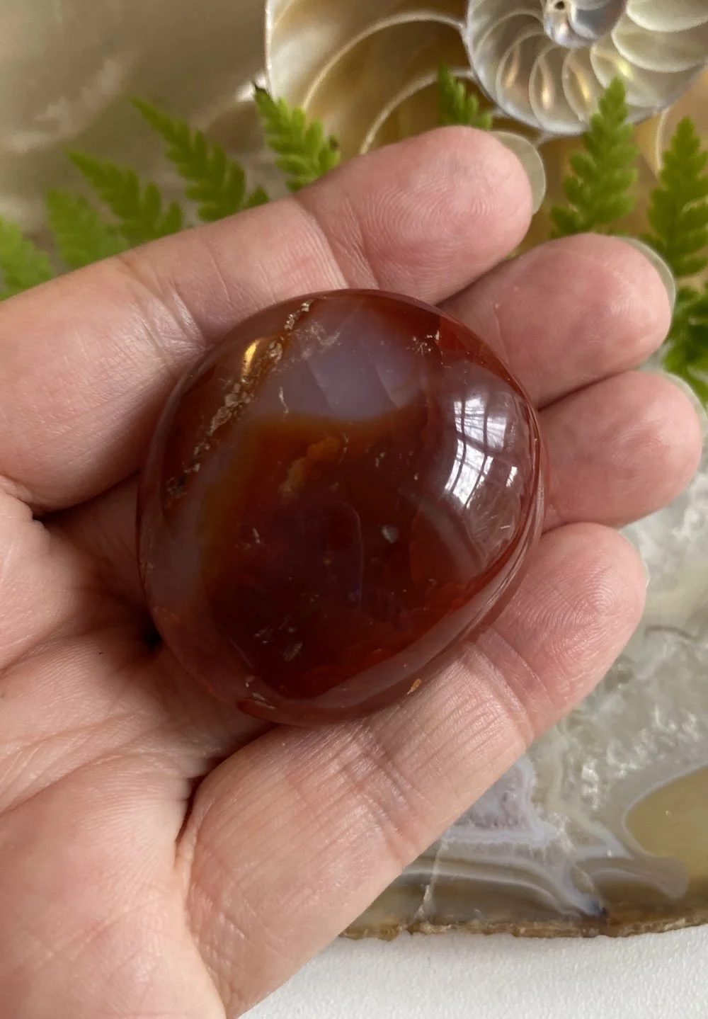 CARNELIAN20.JPG