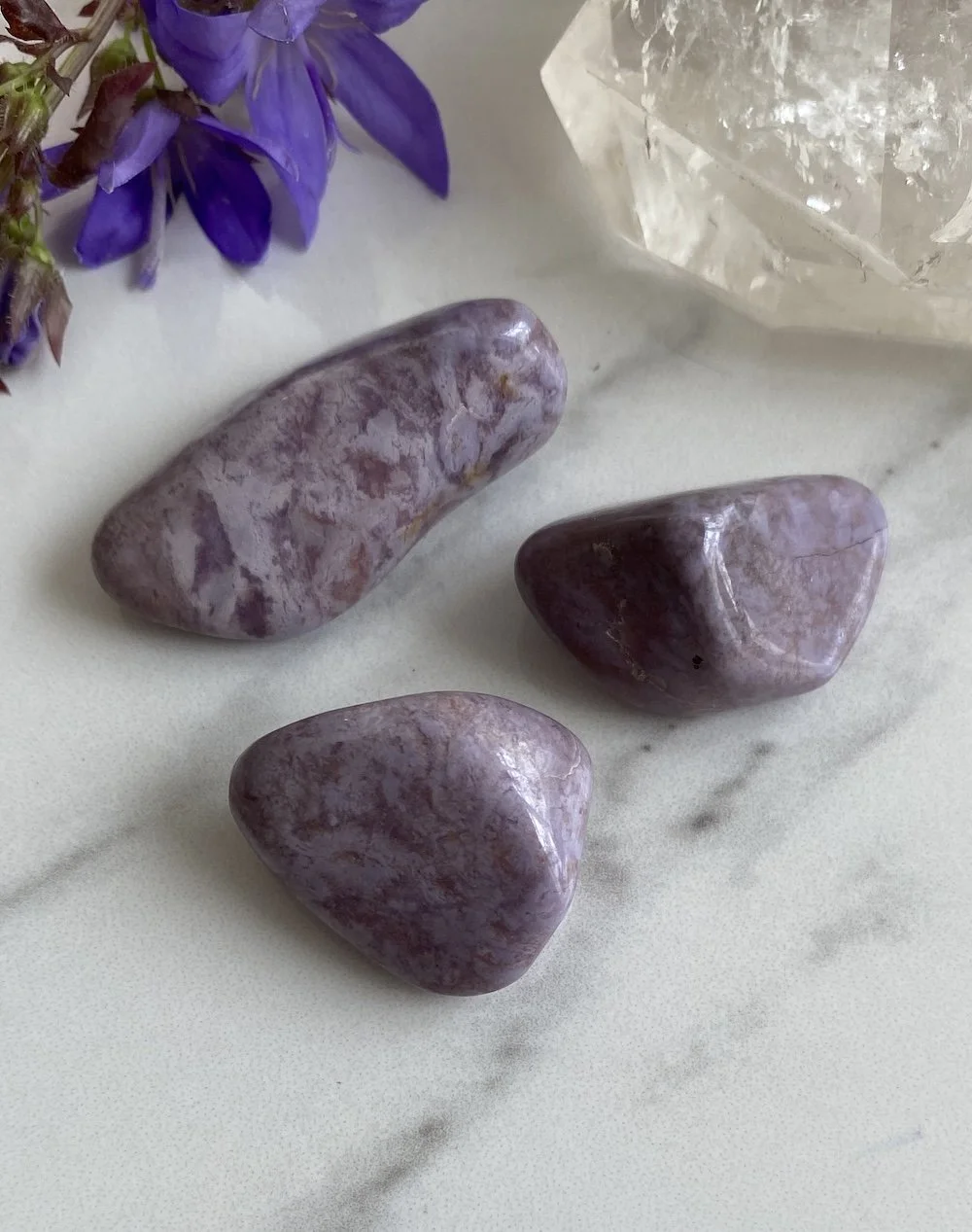 Purple Jade1.JPG