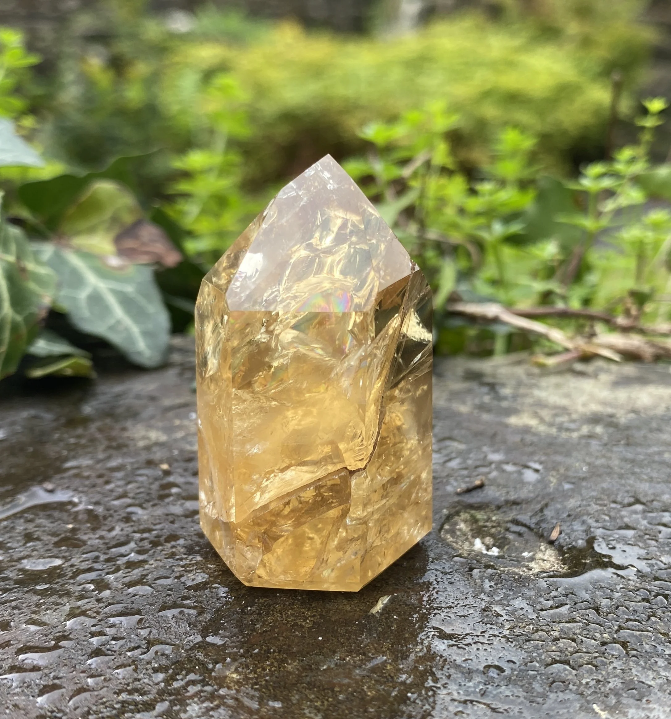 @2 Citrine standing 49g4.JPG
