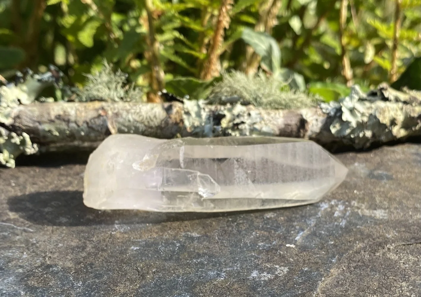 Lemurian1.JPG