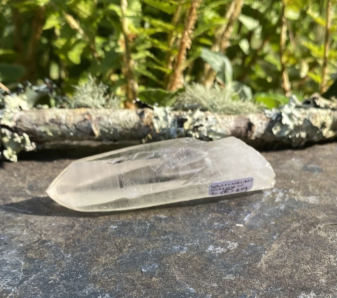 Lemurian2.JPG