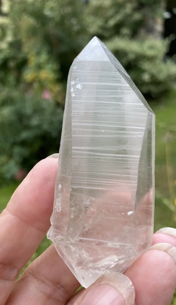Lemurian S2 £327.JPG