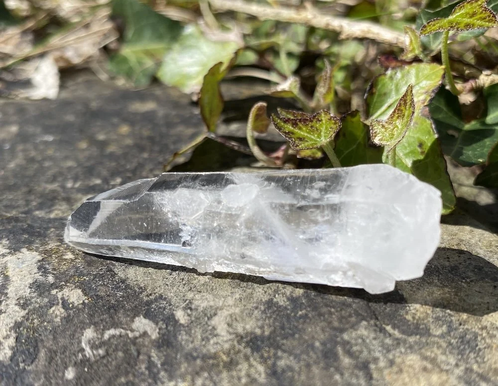 Lemurian 1.JPG