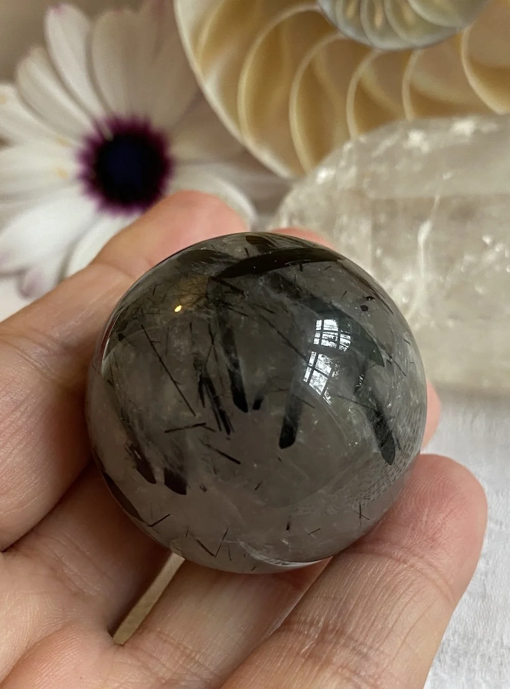 T in Q sphere 44.JPG