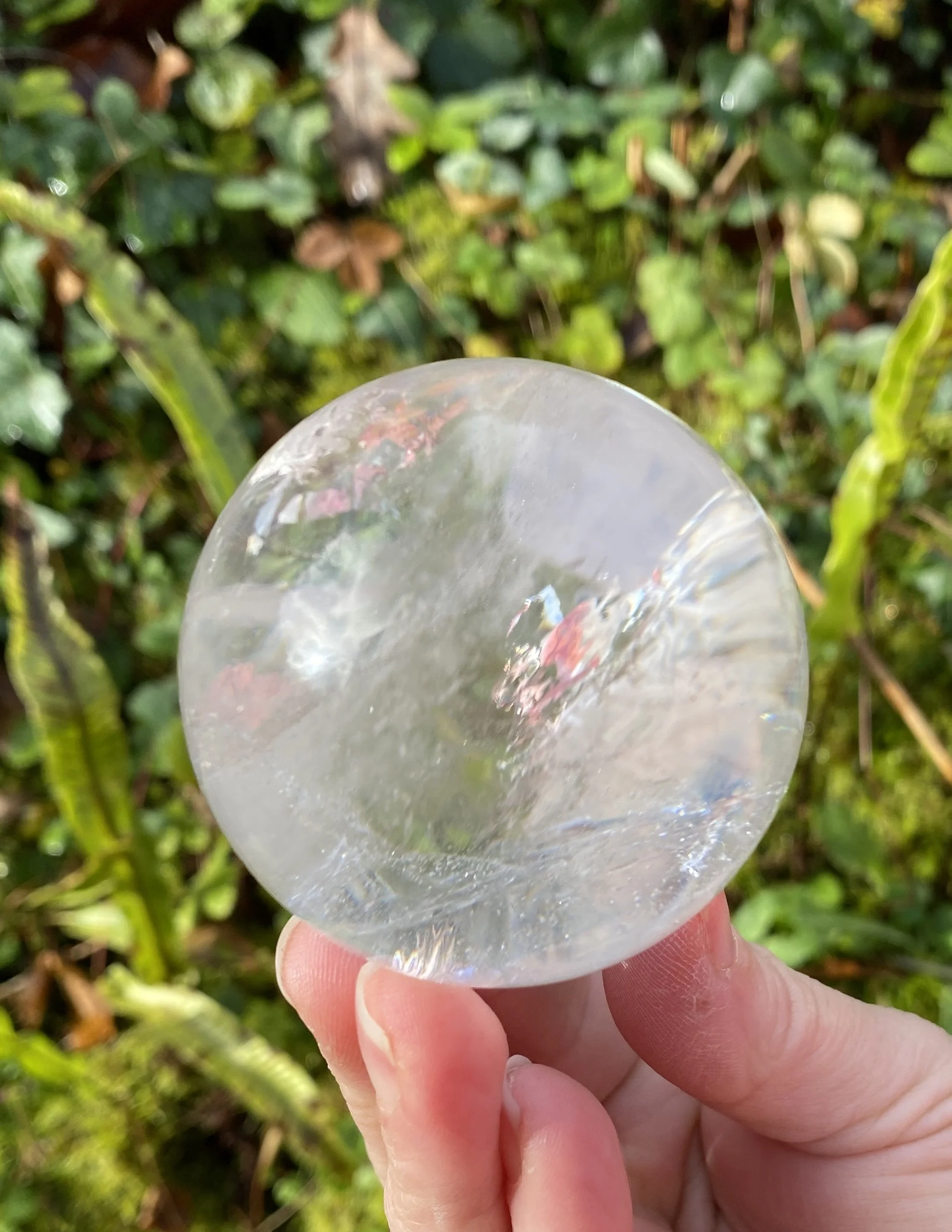 Lemurian 6A £1505.JPG