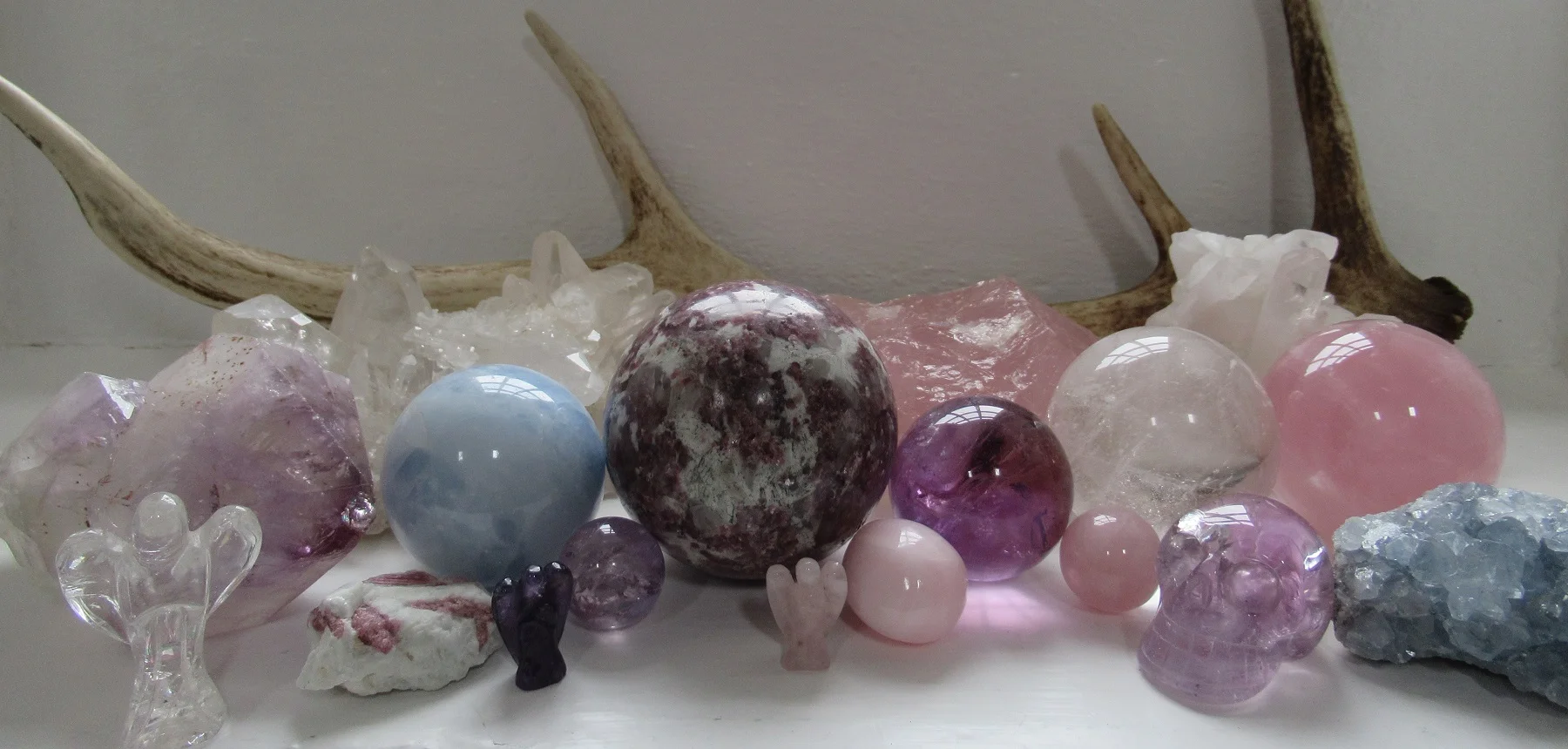 Sue Webshop_Pictures_Header Pink Purple.jpg