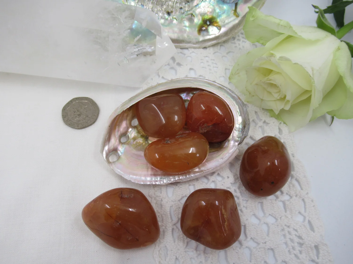 Sue Webshop_Pictures_Tumblestones_Carnelian extra large1.JPG